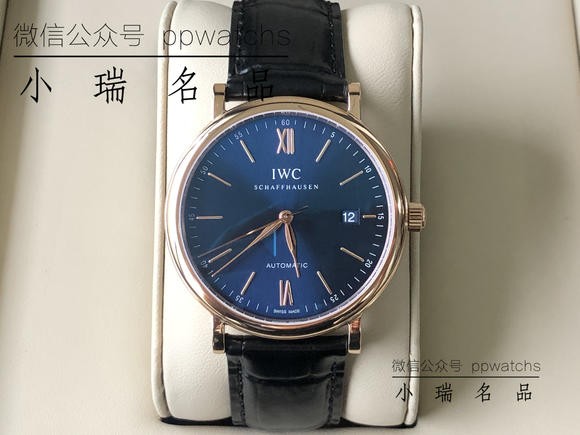 波涛菲诺，金壳金针，蓝面
